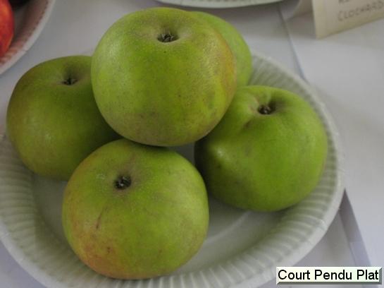 Pomme_ad Court Pendu Plat