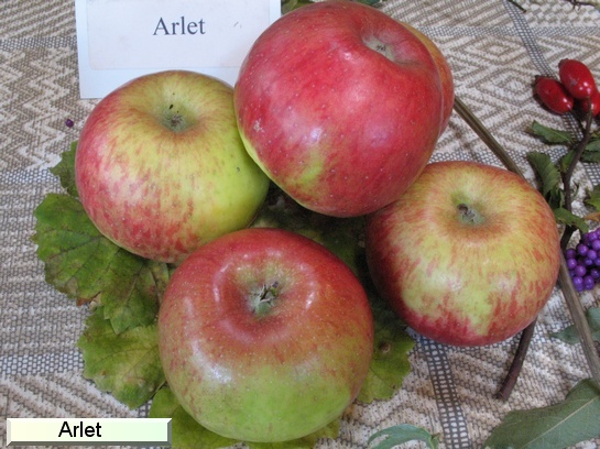Pomme Arlet   (Swiss Gourmet)
