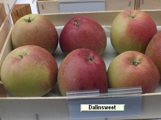 Pomme_ad Dalinsweet c.o.v.