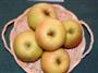 Golden Delicious