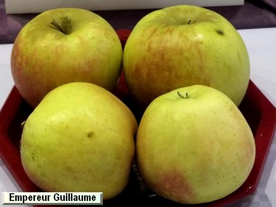 Pomme_eh Empereur Guillaume