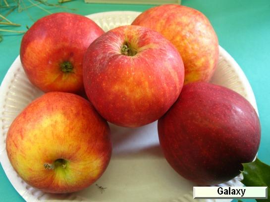 Pomme_eh Galaxy c.o.v.