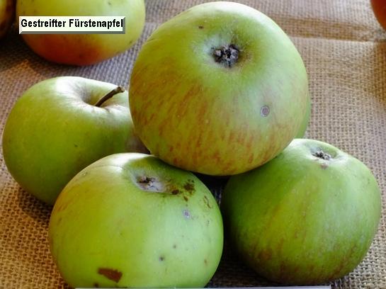 Pomme_eh Gestreifter Fürstenapfel