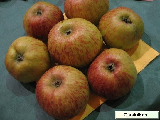 Pomme_eh Glasluiken