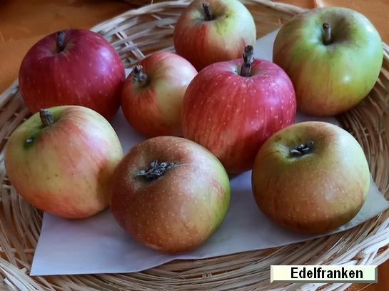 Pomme_eh Edelfranken