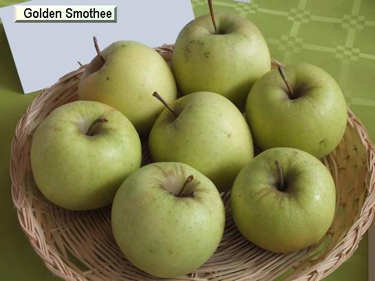Pomme_eh Golden Smoothee®