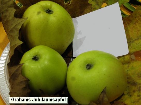 Pomme_eh Grahams Jubiläumsapfel