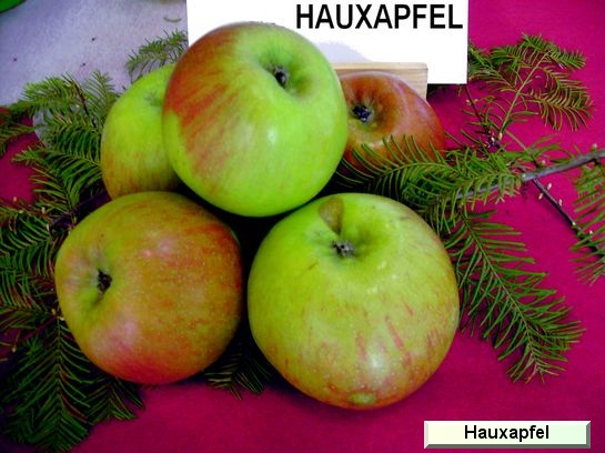 Pomme Hauxapfel