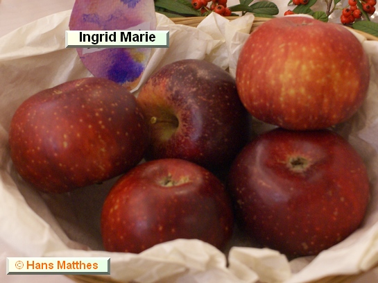Pomme Ingrid Marie
