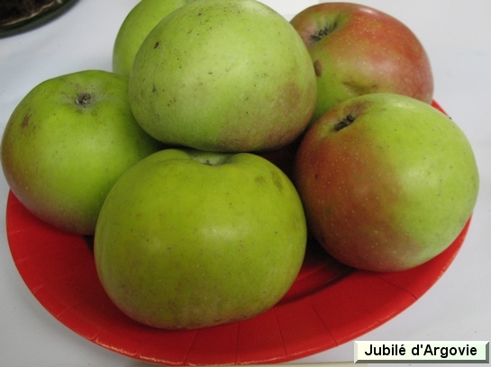 Pomme Jubilée d'Argovie
