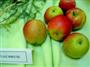 Lochbuie® Red Braeburn