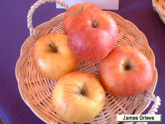 Pomme_il James Grieve