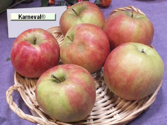 Pomme_il Karneval®