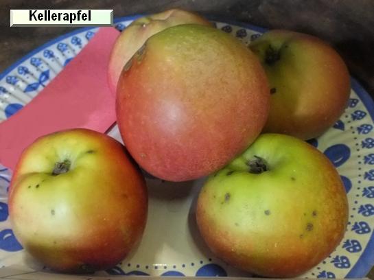 Pomme_il Kellerapfel
