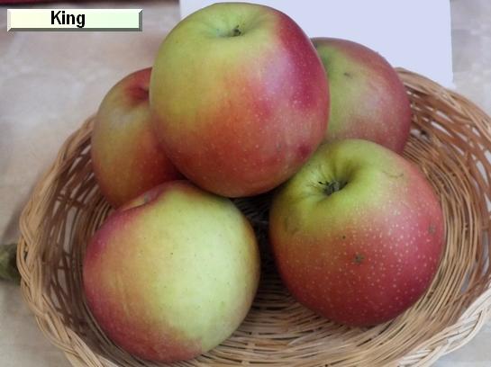 Pomme_il King