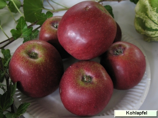 Pomme_il Kohlapfel