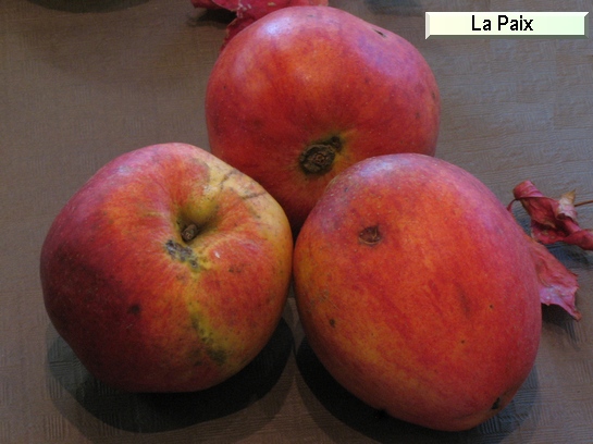 Pomme_il La Paix