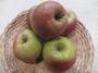 Pink Lady® - Cripps Pink