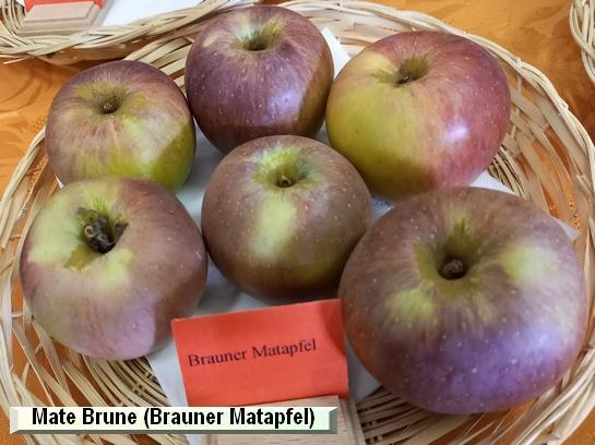 Pomme_mp Mate Brune (Brauner Matapfel)