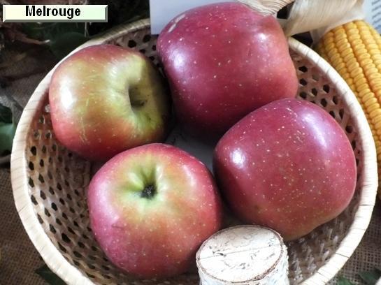Pomme_mp Melrouge