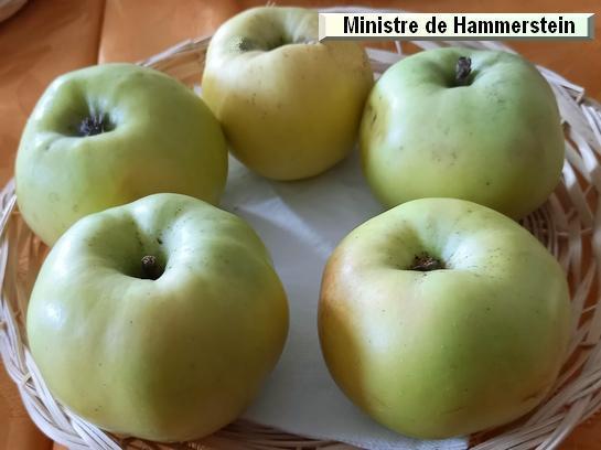 Pomme_mp Ministre de Hammerstein