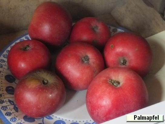 Pomme_mp Palmapfel