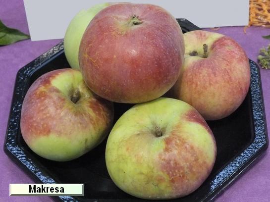 Pomme_mp Makresa