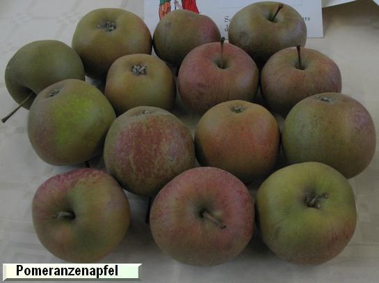 Pomme_mp Pomeranzenapfel