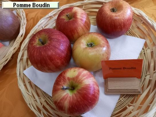 Pomme_mp Pomme Boudin