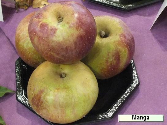 Pomme_mp Manga Super