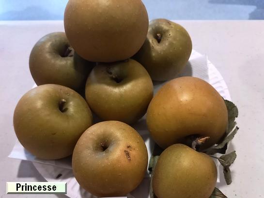 Pomme_mp Princesse Pomme_mp Princesse