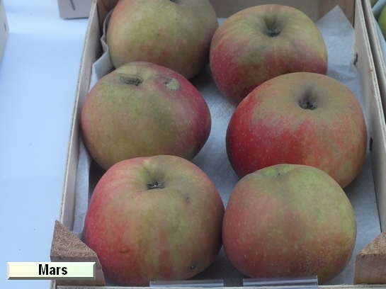 Pomme_mp Mars®