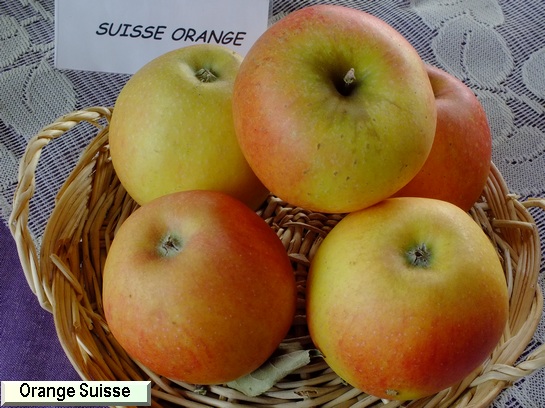 Pomme Orange Suisse