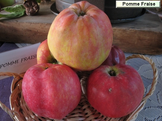 Pomme Pomme Fraise d'hiver