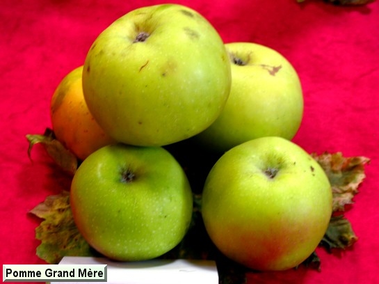 Pomme Pomme Grand Mère