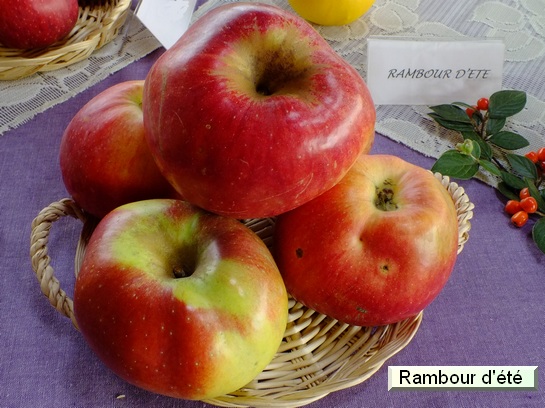 Pomme Rambour d'été