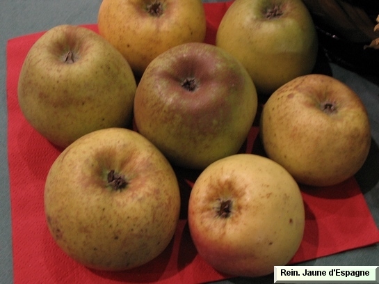 Pomme Reinette Jaune d'Espagne