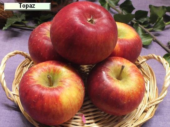 Pomme_qu Topaz