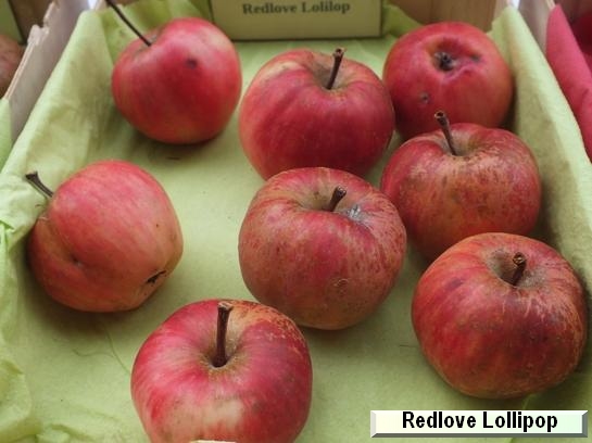 Pomme_qu Redlove® Lollipop®