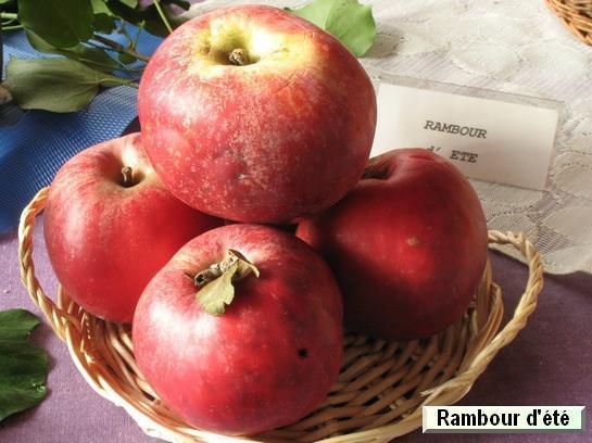 Pomme_qu Rambour d'été