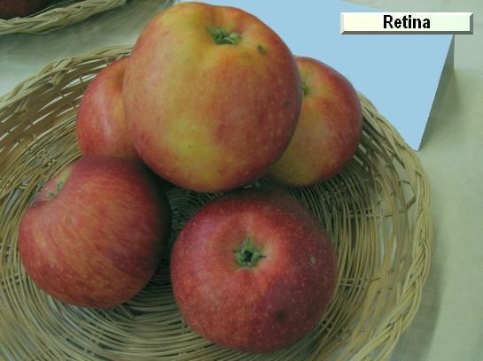 Pomme_qu Retina
