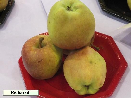 Pomme_qu Richared