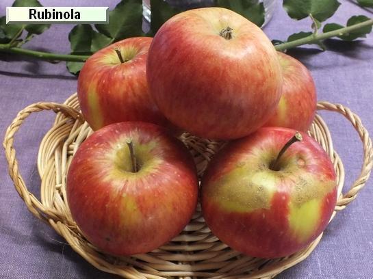 Pomme_qu Rubinola