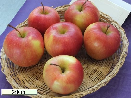 Pomme_qu Saturn