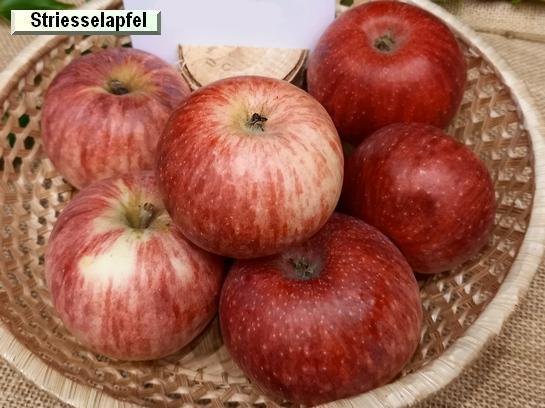 Pomme_qu Striesselapfel