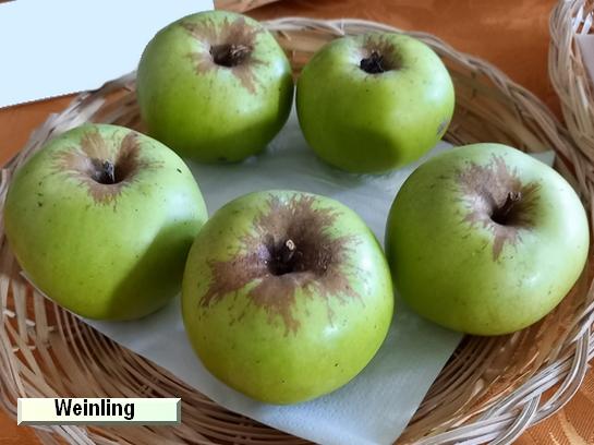 Pomme_vz Weinling