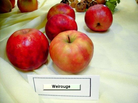Pomme_vz Weirouge
