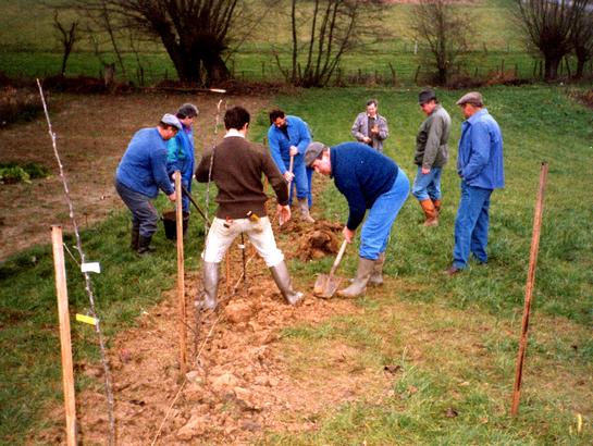 1ères Plantations au Verger Ecole